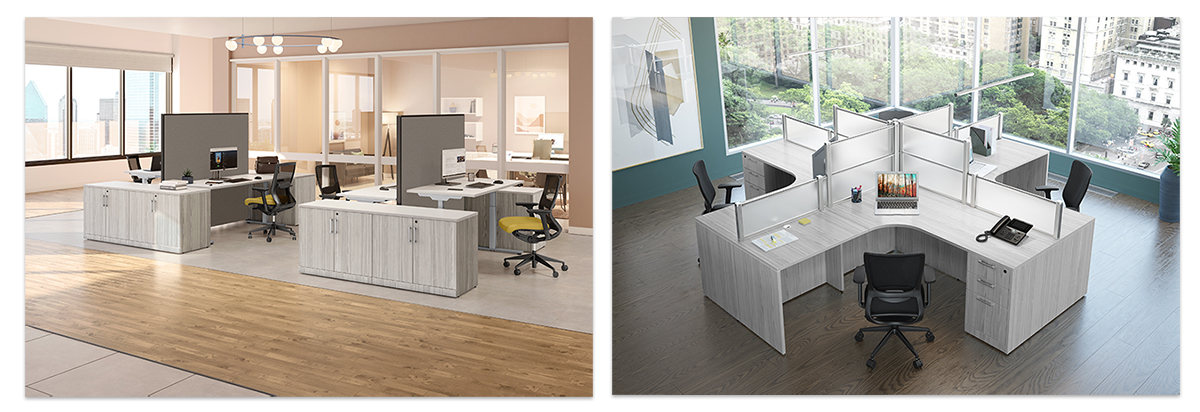 Room scene images of silver birch